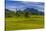 Germany, Bavaria, Upper Bavaria, Chiemgau, Samerberg (Mountain-Udo Siebig-Stretched Canvas