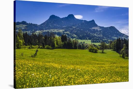 Germany, Bavaria, Upper Bavaria, Chiemgau, Samerberg (Mountain-Udo Siebig-Stretched Canvas