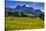 Germany, Bavaria, Upper Bavaria, Chiemgau, Samerberg (Mountain-Udo Siebig-Stretched Canvas