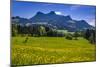 Germany, Bavaria, Upper Bavaria, Chiemgau, Samerberg (Mountain-Udo Siebig-Mounted Photographic Print