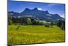 Germany, Bavaria, Upper Bavaria, Chiemgau, Samerberg (Mountain-Udo Siebig-Mounted Photographic Print