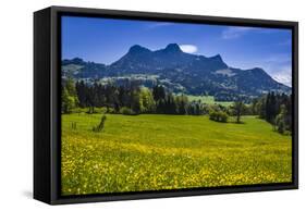 Germany, Bavaria, Upper Bavaria, Chiemgau, Samerberg (Mountain-Udo Siebig-Framed Stretched Canvas