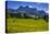 Germany, Bavaria, Upper Bavaria, Chiemgau, Samerberg (Mountain-Udo Siebig-Stretched Canvas