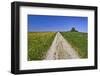 Germany, Bavaria, Upper Bavaria, Degerndorf (Village), Spring, Meadow, Trail, Trees-Udo Siebig-Framed Photographic Print