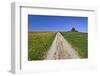 Germany, Bavaria, Upper Bavaria, Degerndorf (Village), Spring, Meadow, Trail, Trees-Udo Siebig-Framed Photographic Print