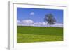 Germany, Bavaria, Upper Bavaria, Degerndorf (Village), Spring Meadow-Udo Siebig-Framed Photographic Print