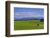 Germany, Bavaria, Upper Bavaria, 'FŸnf Seen Land' (Region), Eurasburg-Udo Siebig-Framed Photographic Print