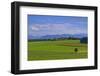 Germany, Bavaria, Upper Bavaria, 'FŸnf Seen Land' (Region), Eurasburg-Udo Siebig-Framed Photographic Print