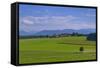 Germany, Bavaria, Upper Bavaria, 'FŸnf Seen Land' (Region), Eurasburg-Udo Siebig-Framed Stretched Canvas