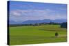 Germany, Bavaria, Upper Bavaria, 'FŸnf Seen Land' (Region), Eurasburg-Udo Siebig-Stretched Canvas