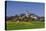 Germany, Bavaria, Upper Bavaria, FŸnfseenland, Andechs, Spring Landscape with Abbey Andechs-Udo Siebig-Stretched Canvas