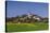 Germany, Bavaria, Upper Bavaria, FŸnfseenland, Andechs, Spring Landscape with Abbey Andechs-Udo Siebig-Stretched Canvas