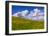 Germany, Bavaria, Upper Bavaria, FŸnfseenland, Jenhausen, Municipality Seeshaupt, Spring Scenery-Udo Siebig-Framed Photographic Print