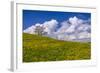 Germany, Bavaria, Upper Bavaria, FŸnfseenland, Jenhausen, Municipality Seeshaupt, Spring Scenery-Udo Siebig-Framed Photographic Print