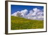 Germany, Bavaria, Upper Bavaria, FŸnfseenland, Jenhausen, Municipality Seeshaupt, Spring Scenery-Udo Siebig-Framed Photographic Print