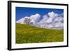 Germany, Bavaria, Upper Bavaria, FŸnfseenland, Jenhausen, Municipality Seeshaupt, Spring Scenery-Udo Siebig-Framed Photographic Print