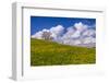 Germany, Bavaria, Upper Bavaria, FŸnfseenland, Jenhausen, Municipality Seeshaupt, Spring Scenery-Udo Siebig-Framed Photographic Print