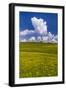 Germany, Bavaria, Upper Bavaria, FŸnfseenland, Jenhausen-Udo Siebig-Framed Photographic Print