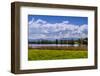 Germany, Bavaria, Upper Bavaria, FŸnfseenland, Nut Mountain-Udo Siebig-Framed Photographic Print