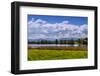 Germany, Bavaria, Upper Bavaria, FŸnfseenland, Nut Mountain-Udo Siebig-Framed Photographic Print