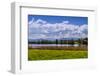 Germany, Bavaria, Upper Bavaria, FŸnfseenland, Nut Mountain-Udo Siebig-Framed Photographic Print