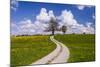 Germany, Bavaria, Upper Bavaria, FŸnfseenland, Schmitten, Municipality Seeshaupt, Spring Scenery-Udo Siebig-Mounted Photographic Print