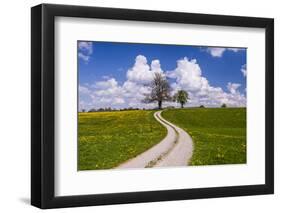 Germany, Bavaria, Upper Bavaria, FŸnfseenland, Schmitten, Municipality Seeshaupt, Spring Scenery-Udo Siebig-Framed Photographic Print