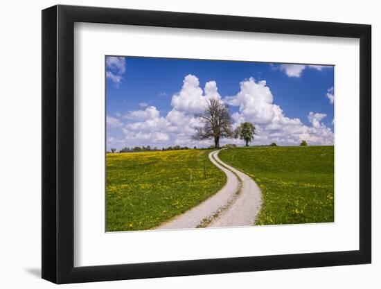 Germany, Bavaria, Upper Bavaria, FŸnfseenland, Schmitten, Municipality Seeshaupt, Spring Scenery-Udo Siebig-Framed Photographic Print