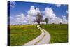 Germany, Bavaria, Upper Bavaria, FŸnfseenland, Schmitten, Municipality Seeshaupt, Spring Scenery-Udo Siebig-Stretched Canvas