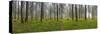 Germany, Bavaria, Upper Bavaria, Munich Metropolitan Region, Oberhaching-Udo Siebig-Stretched Canvas