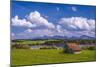 Germany, Bavaria, Upper Bavaria, Pfaffenwinkel, Egling by the Riegsee Lake-Udo Siebig-Mounted Photographic Print