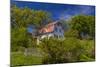 Germany, Bavaria, Upper Bavaria, Pfaffenwinkel, Murnau Near Staffelsee Lake, MŸnter House-Udo Siebig-Mounted Photographic Print