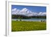 Germany, Bavaria, Upper Bavaria, Pfaffenwinkel, Osterseen-Udo Siebig-Framed Photographic Print