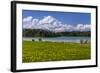 Germany, Bavaria, Upper Bavaria, Pfaffenwinkel, Osterseen-Udo Siebig-Framed Photographic Print