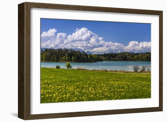 Germany, Bavaria, Upper Bavaria, Pfaffenwinkel, Osterseen-Udo Siebig-Framed Photographic Print