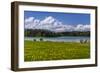 Germany, Bavaria, Upper Bavaria, Pfaffenwinkel, Osterseen-Udo Siebig-Framed Photographic Print