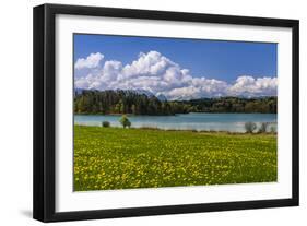 Germany, Bavaria, Upper Bavaria, Pfaffenwinkel, Osterseen-Udo Siebig-Framed Photographic Print