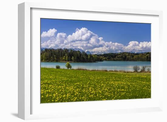 Germany, Bavaria, Upper Bavaria, Pfaffenwinkel, Osterseen-Udo Siebig-Framed Photographic Print