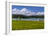 Germany, Bavaria, Upper Bavaria, Pfaffenwinkel, Osterseen-Udo Siebig-Framed Photographic Print