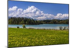 Germany, Bavaria, Upper Bavaria, Pfaffenwinkel, Osterseen-Udo Siebig-Mounted Photographic Print