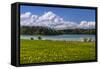 Germany, Bavaria, Upper Bavaria, Pfaffenwinkel, Osterseen-Udo Siebig-Framed Stretched Canvas