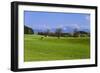 Germany, Bavaria, Upper Bavaria, Pfaffenwinkel (Region), Antdorf-Udo Siebig-Framed Photographic Print