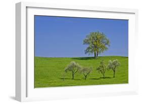 Germany, Bavaria, Upper Bavaria, Pfaffenwinkel (Region), Habach, Meadow, Oaks, Fruit Trees-Udo Siebig-Framed Photographic Print