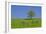 Germany, Bavaria, Upper Bavaria, Pfaffenwinkel (Region), Habach, Meadow, Oaks, Fruit Trees-Udo Siebig-Framed Photographic Print