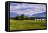 Germany, Bavaria, Upper Bavaria, Pfaffenwinkel (Region), Uffing-Udo Siebig-Framed Stretched Canvas