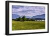 Germany, Bavaria, Upper Bavaria, Pfaffenwinkel (Region), Uffing-Udo Siebig-Framed Photographic Print