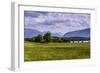 Germany, Bavaria, Upper Bavaria, Pfaffenwinkel (Region), Uffing-Udo Siebig-Framed Photographic Print