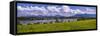 Germany, Bavaria, Upper Bavaria, Pfaffenwinkel, Riegsee Lake-Udo Siebig-Framed Stretched Canvas