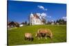 Germany, Bavaria, Upper Bavaria, Pfaffenwinkel, Steingaden-Udo Siebig-Stretched Canvas