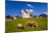 Germany, Bavaria, Upper Bavaria, Pfaffenwinkel, Steingaden-Udo Siebig-Mounted Photographic Print